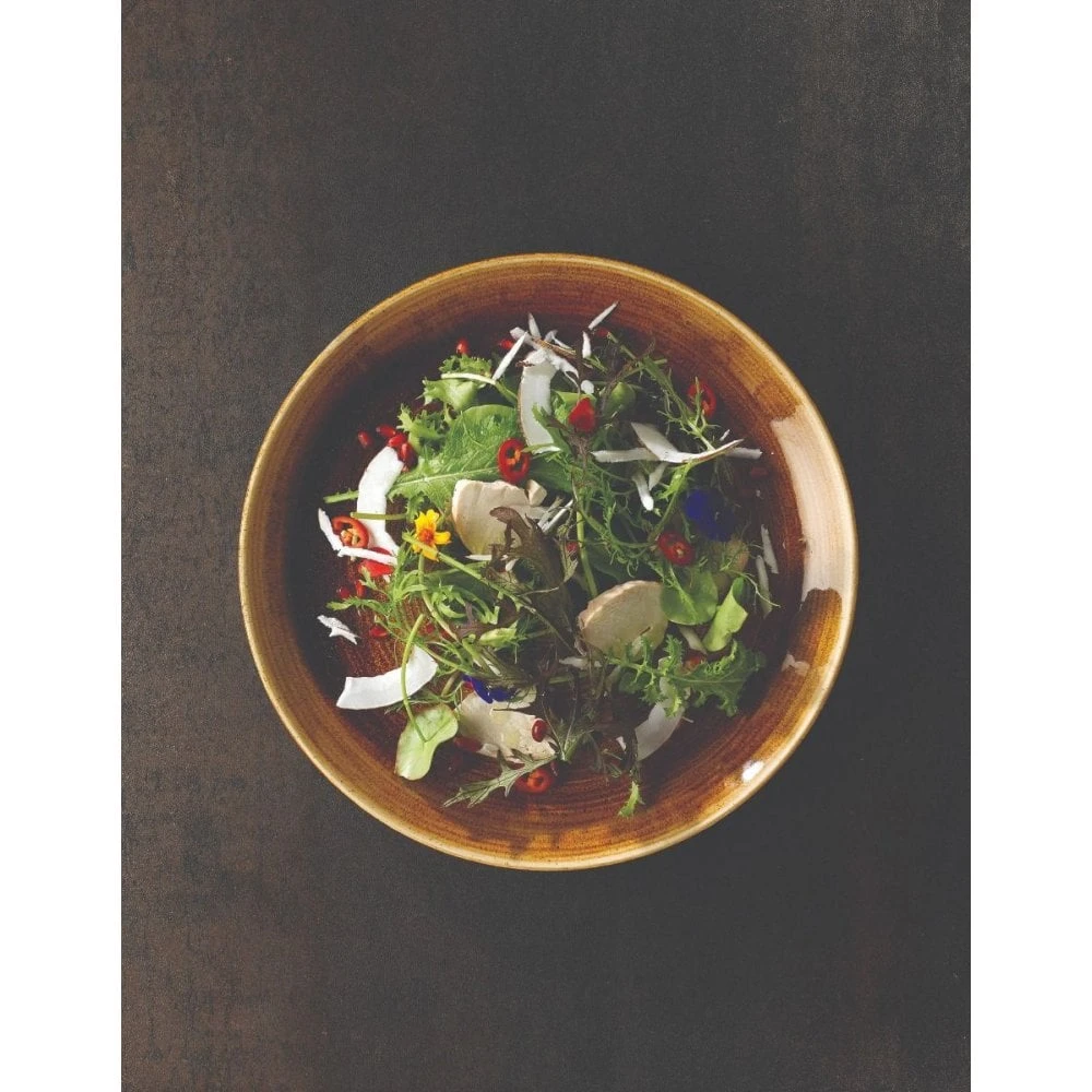 Churchill China Patina Coupe Plate 21.7cm (8.5") Vintage Copper (Box Of 12) 4 Churchill China Patina Coupe Plate 21.7cm (8.5") Vintage Copper (Box Of 12) - Image 2